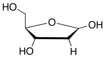 533-67-5 | 2-Deoxy-D-ribose | 2-Deoxy-D-erythro-pentose; 2-Deoxy-D ...