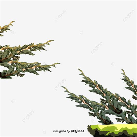 Branches And Leaves Hd Transparent Branches Branches And Leaves Of