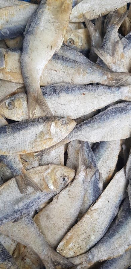 Peixe Seco E Salgado Para Batatas Fritas Salgadas Primeiro Para