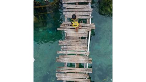 Kades Di Wakatobi Yakin Jembatan Yang Viral Dibenahi Bule Denmark Masih