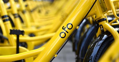 Newsletter What Killed Ofo — The Fall Of A Unicorn Pandaily