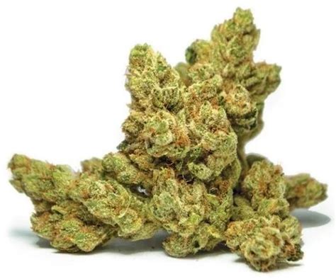 Legend Og Weedpedia Coupons And Reviews