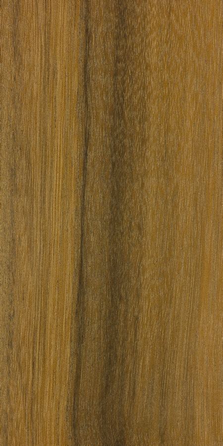 Greenheart The Wood Database Hardwood