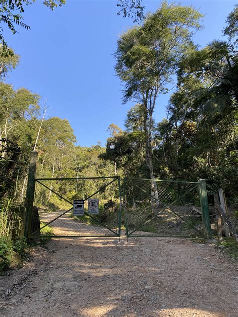 Trilha Pico da Pedra em Camboriú SC O que ninguém te conta