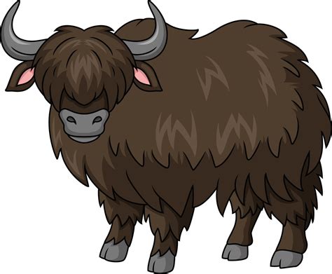 Cute yak cartoon on white background 22314756 Vector Art at Vecteezy