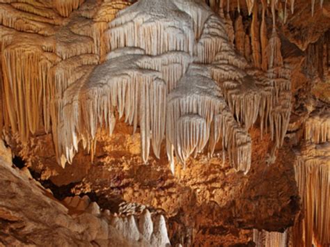 On the Hunt for the Caves of Virginia - Ashburn, VA Patch