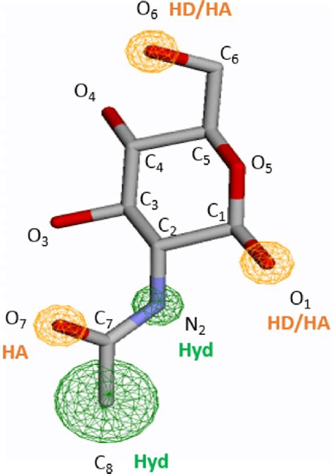 Pharmacophore Model Of Nag Hd Hydrogen Bond Donor Hahydrogen Bond