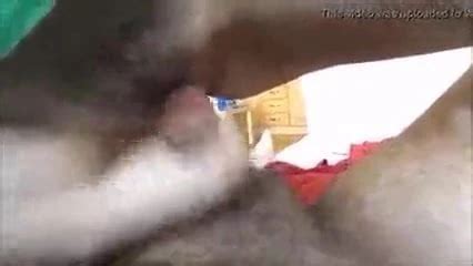 Harter Sex Porno Videos Xhamster