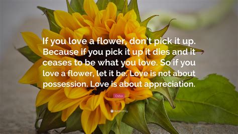 Osho Quote If You Love A Flower Dont Pick It Up Because If You