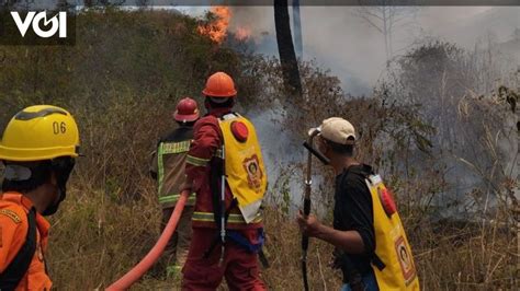 Kebakaran Hutan Gunung Guntur Garut Berhasil Dipadamkan