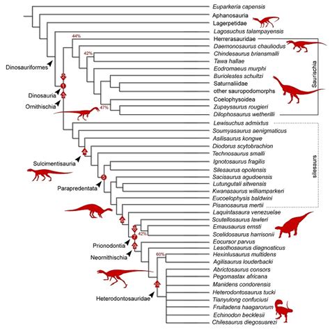 Filling in the Dinosaur Family Tree | Christs College Cambridge