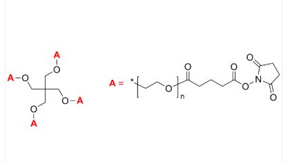 Arm Peg Sg Poly Ethylene Oxide Succinimidyl