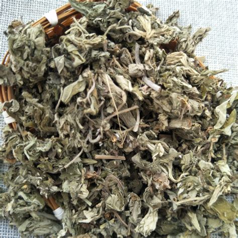 Ma Huang 2018 Chinese Fresh Heaba Ephedrae Buy Herba Ephedraefresh