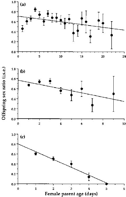 Offspring Sex Ratio Proportion Females Download Scientific Diagram