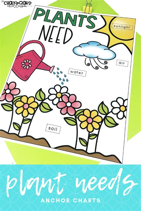 The Plant Needs Anchor Chart Is Shown With Text Overlay That Reads