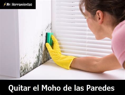 Como Quitar El Moho De Las Paredes Consejos Y Trucos