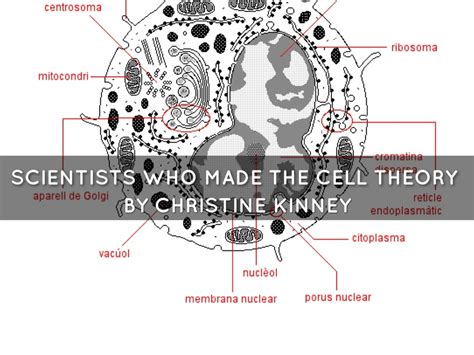 The Cell Theory Scientists by Christine Kinney