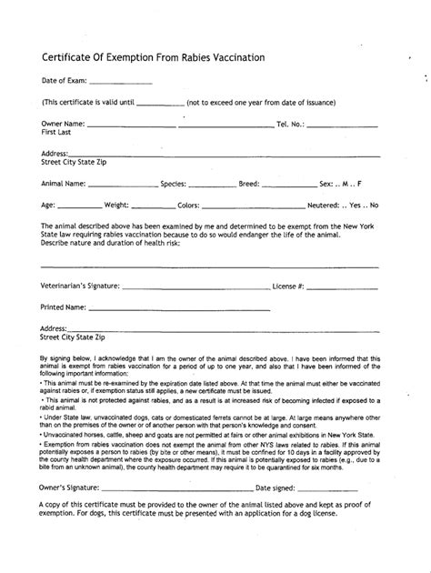 Rabies Exemption Letter Example Fill Out Sign Online DocHub