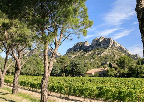 Domaine De La Vallongue Alpilles En Provence