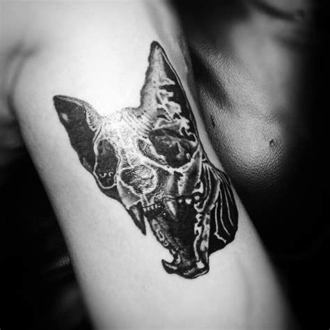 Cat Skull Tattoo Ideas and the Meaning