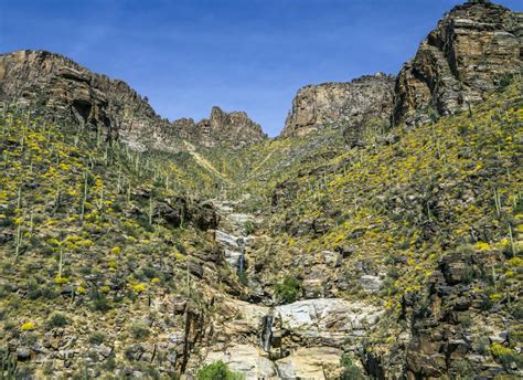 Hiking The Sky Islands | Mountains Around Tucson | Visit Tucson Blog