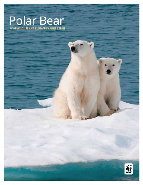 Polar Bear - WWF Wildlife and Climate Change Series | CAKE: Climate Adaptation Knowledge Exchange