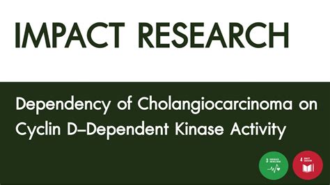 Impact Research Cholangiocarcinoma Siriraj