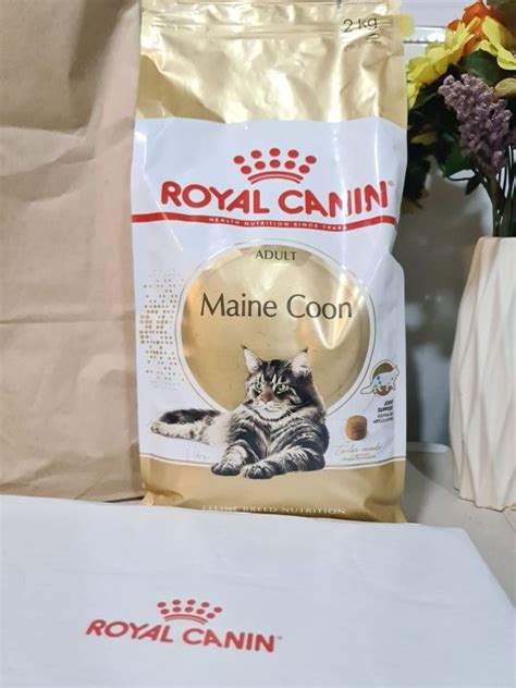 Royal Canin Maine Coon Adult Cat Dry Food Kg Lazada Ph