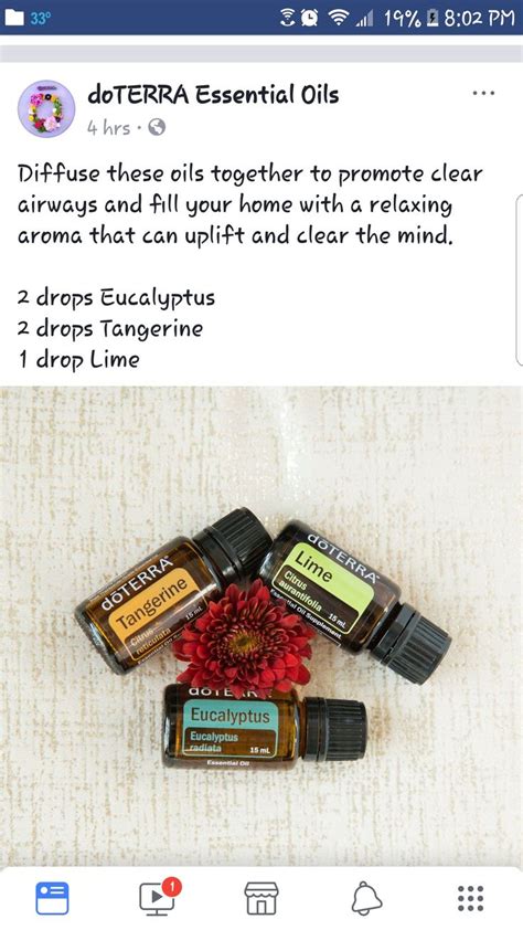 Pin on Essential Oils | Doterra essential oils recipes, Essential oils, Essential oil diffuser ...