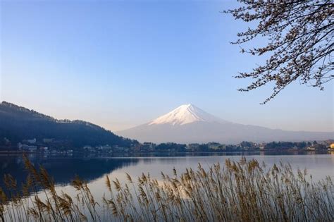 Paisagem Do Monte Fuji Jap O Foto Premium