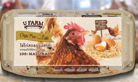 CP Foods Produces Asias First Carbon Neutral Cage Free Egg Promoting