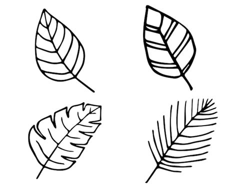 Premium Vector Leaves Black And White