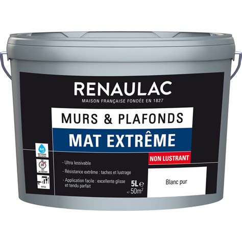 Peinture Murs Et Plafonds Renaulac Mat Extr Me