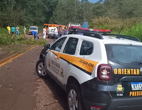 Vídeo Árvore cai e atinge carro na BR 356 que teve trânsito