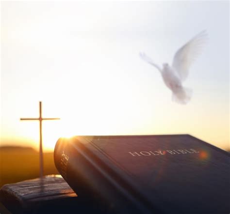 Premium Photo | Bright sunlight and white dove and holy bible and cross ...