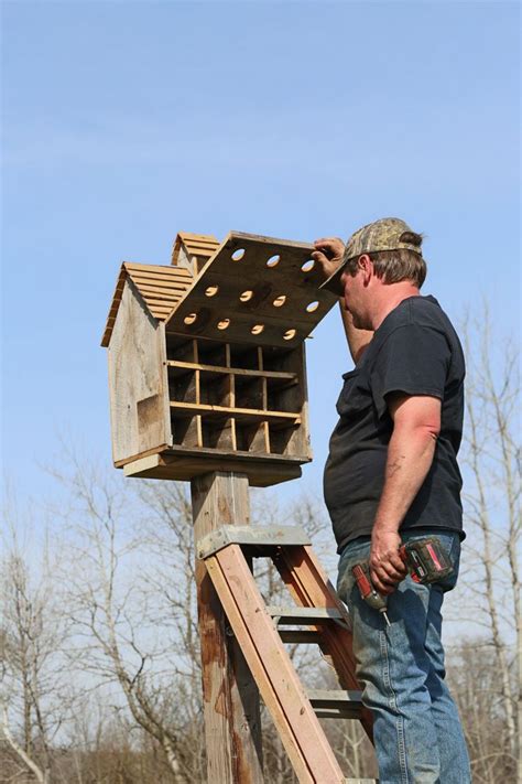 Purple Martin House - CREATIVE CAIN CABIN | Bird houses diy, Unique