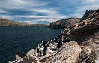 Falkland Islands Tour Guides | Tours of the Falklands