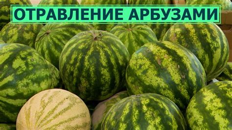 Специалисты фиксируют случаи отравления арбузами - YouTube
