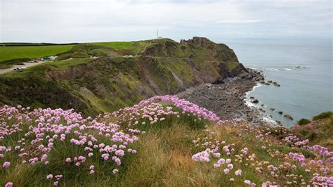 Blooming Point Beach A Stunning Prince Edward Island Getaway