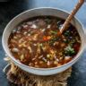 Vegetarian Hot And Sour Soup Cook With Manali