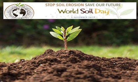 World Soil Day Some Easy Methods To Conserve Soil