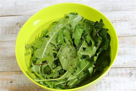 Как избавиться от белокрылки: народные средства | Со Вкусом