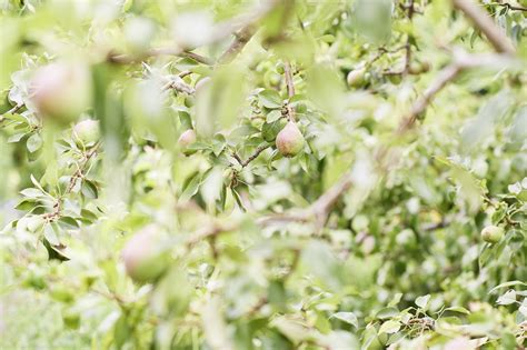 Uerzlikon Ideengarten I NatUrban Naturnahe Gartengestaltung