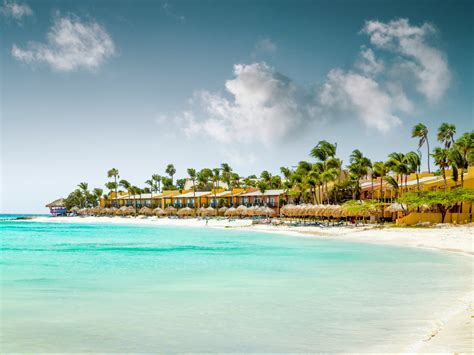 aruba launches competition  easiest job  world weather person
