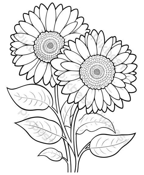 Girassol Desenho Para Colorir