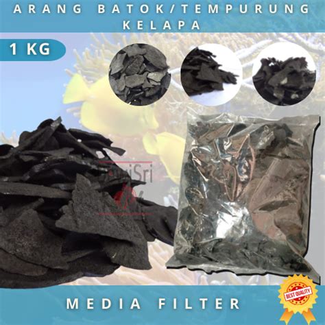 Arang Batok Tempurung Kelapa Kg Media Filter Air Rumahan Kolam Ikan