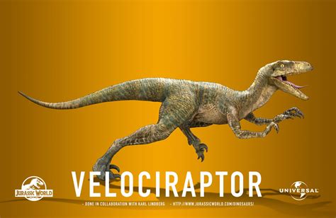 Jurassic World Velociraptors Luis Carrasco Jurassic World Jurassic Park World Jurassic Park