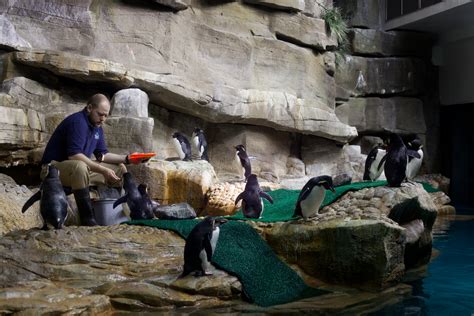 Shedd Aquarium, Chicago | The Unravel