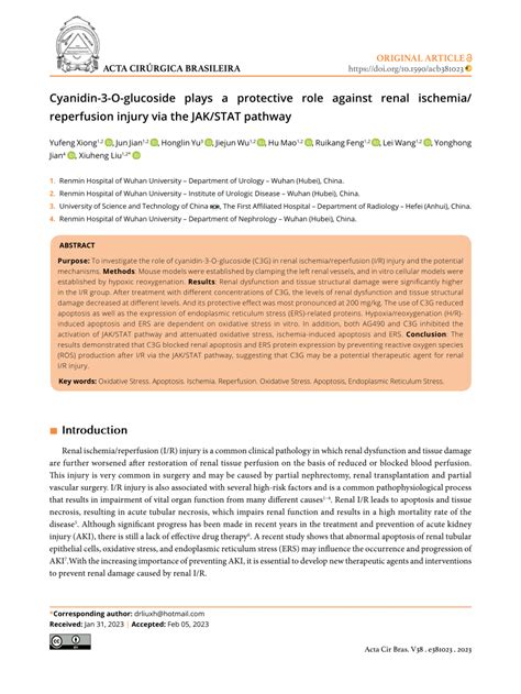 PDF Cyanidin 3 O Glucoside Plays A Protective Role Against Renal