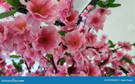 Artificial Japanese Cherry Blossom Stock Photo - Image of plant, food ...